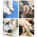 Miniatyrbilde 2 av 11: Elektrisk Neglefil for Hund / Negletrimmer - Negleklippere