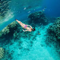 Miniatyrbillede 9 af 11: Snorkelmaske Helt dækkende – Snorkling Black