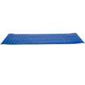 Pikkukuva 2 / 11: Liukuestematto uima-allastikkaille - 77x23cm Blue