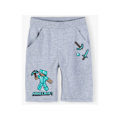 Miniatyrbilde 1 av 2: Minecraft Shorts för Barn 12 år