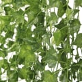 Pikkukuva 5 / 7: 6 metriä Muratti Girlandi / Lehtigirlandi - 2m pitkä Green