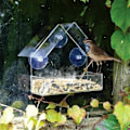 Miniatyrbild 5 av 5: Fågelmatare med sugpropp - Matskål för Fåglar