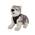 Miniatyrbild 10 av 11: Hundsele / Sele för Hund - Tryckfri MultiColor XL
