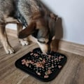 Miniatyrbillede 6 af 11: Slow Feeder Bricka för Hund & Katt - Ät långsammare
