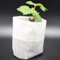 Miniatyrbillede 1 af 7: 100-Pak - Tomme Frøposer / Poser til Frøplanter - Plante White