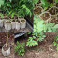 Miniatyrbilde 2 av 7: 100-Pak - Tomme Frøposer / Poser til Frøplanter - Plante White