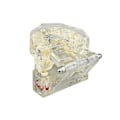 Miniatyrbillede 9 af 10: Anatomisk Tandmodell - Tandprotes White