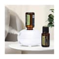Mini duftspreder aromaterapimaskine automatisk induktion bærbar sød til diffuser USB White