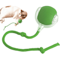 Miniatyrbild 1 av 7: Automatisk Kattboll | Elektrisk Interaktiv Boll för Katter | Självberörande Smart Katt Leksak - Stimulerar Kattens Jaktintinkt