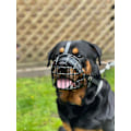 Miniatyrbillede 1 af 5: STARK Trådkurv Metal Hundekurv Rottweiler, Mastiff Golden Retriever & andre (R1, Sort/Sort Læder)