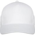 Miniatyrbild 1 av 4: Elevate Unisex Vuxen Doyle 5-Panel Keps Storlek One Vit Whit White One Size