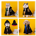 Pikkukuva 3 / 3: Harry Potter Taikaviitta Koiran Kouluviitta Pienelle Koiralle Lemmikkikapea Kapea + Lasit + Solmio green M
