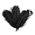 Miniatyrbillede 1 af 5: 10 stk Strudsefjer Plume Midtpunkt Bryllup Fest Bord Dekoration 30-35cm Sort Black
