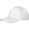 Miniatyrbild 3 av 4: Elevate Unisex Vuxen Doyle 5-Panel Keps Storlek One Vit Whit White One Size