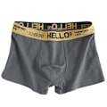 Miniatyrbild 6 av 6: 5Pcs Män Underkläder Man Boxers Sexiga Underkläder Bekväm Andningsbart Mode Pojkar Trosor Underkläder Boxershos Män Black XXL(65-75KG)