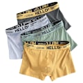 Miniatyrbild 2 av 6: 10Pcs / Mäns Underkläder Mode Underkläder Hög Sträck Boxer Shorts Andas Mjuka Mäns Shorts Comm Modable Plus Storlekl-4Xl ZC1 4XL