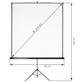 Miniatyrbild 7 av 7: tectake Projektorduk med stativ - 152 x 152 cm Vit