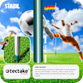 Miniatyrbild 7 av 9: tectake Flaggstång i aluminium regnbåge