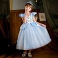 Miniatyrbilde 4 av 5: Askepott-kostyme for barn, bursdagsfest, ballkjole, prinsesseskjørt med blå blonder, linse, Halloween-forestillingsklær A01 9-10T(Size 150 )