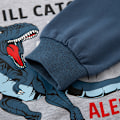 Miniatyrbild 4 av 4: Höst barn tecknad dinosaurie mönster färg matchande ärm topp för pojkar baby ytterkläder bomull sweatshirt-100cm 100cm