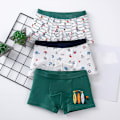 Miniatyrbillede 3 af 5: Børneundertøj bomuldsbukser børneshorts 3 stk. pr. sæt set 1 110cm  3-4years