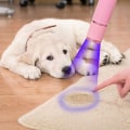 Pikkukuva 2 / 5: 3 LED-taskulamppua, Pienet hehkuvat taskulamput 9 LED-valolla, Po