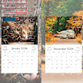 Miniatyrbillede 3 af 5: Kattekalender 2024, Lazy Cat Kalender 2024, Søde Katte Vægkalender 2024, Sjove Månedskalendere, Gave Til Katteelskere