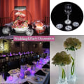 Miniatyrbillede 2 af 5: Led Coaster, 12 stk. Lysende Coasters, Led Flaske Lys