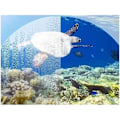 Miniatyrbillede 6 af 7: Snorkelmaske Fuld Dækning - Snorkling - S/M Sort