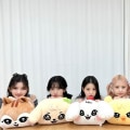 Miniatyrbild 3 av 5: Kpop Ive Cherive Plyschleksak Minive Ganganji Dal-e Rei Naori Cherry Liz Cheez Erang-e Kpop Ive Dockan Wonyoung Yujin Gaeul Leeseo L  30cm