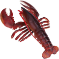 Miniatyrbild 3 av 5: Simulering Mjuk Plast Hummer Modell Skaldjur Restaurang Rekvisita Dekoration Leksaker Barn (23cm)