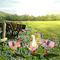 Miniatyrbilde 5 av 5: 3 stk. Hønse Refleksvest Justerbar Kyllingsele Gå Kylling Sal Kylling Forkle For Høner Fjærbeskyttelse Holder For And Høner Gås Poult pink