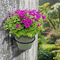 Miniatyrbild 3 av 3: 3 st 15 cm Metall Väggmonterade Blomkrukfästen, Krukhållare Blomlådeställ 6in