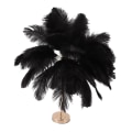Miniatyrbilde 4 av 5: Bordlampe med strutsfjær, oppladbar, moderne, romantisk dekorasjonslampe, soveromslampe, nattbordslampe for hjemmedekorasjon Black
