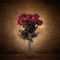 Miniatyrbillede 4 af 5: 10 stk. Sorte Kunstige Silke Roser Blomster Falske Silke Rose Buketter til Bryllupsfest Sort (D-4) red