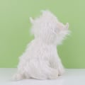 Pikkukuva 4 / 4: Highland Cow Skotlannin Highland -karjan pehmolelut White