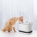 Pikkukuva 5 / 5: 12 kpl:n vaihtosuodattimia Dockstream langattomalle vesiautomaatille Plwf005/plwf115/wf105, lemmikkieläinten juoma-automaatti