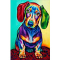 Miniatyrbild 1 av 2: Måla efter nummer för vuxna barn,  Måla efter nummer-kit Akrylmålning efter nummer för vuxna, söt hund