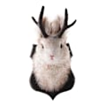 Pikkukuva 1 / 5: Jackalope-patsas seinäkiinnityksellä, sarvipää, kani, ripustusveistos, eläinkoti