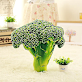 Miniatyrbillede 2 af 5: Simuleret grøntsagspude Kartoffel Løg Plysleget Broccoli Nap Pude,broccoli
