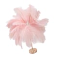 Miniatyrbillede 3 af 5: Struds fjerbordlampe Genopladelig Moderne Romantisk Dekorationslampe Soveværelse Sengelampe Til Hjemmedekor Pink