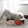 Miniatyrbilde 4 av 5: Kattenskrape Kartong Seng Lounge Sofa For Innendørs Katter Oval Form 17\"x13\", Kitty Cat Scratching Pad Gjenbruk Bølgepapp Skrape Varig Møbler