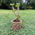 Miniatyrbilde 5 av 5: Morsom tegneserie harpiks blomsterpotte planter hage plante sukkulenter holder potte for hjemmekontor skrivebordsdekorasjon
