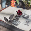 Miniatyrbillede 2 af 5: 10 stk. Sorte Kunstige Silke Roser Blomster Falske Silke Rose Buketter til Bryllupsfest Sort (D-4) red