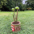 Miniatyrbilde 4 av 5: Morsom tegneserie harpiks blomsterpotte planter hage plante sukkulenter holder potte for hjemmekontor skrivebordsdekorasjon