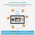 Miniatyrbillede 5 af 5: Zfx-w9002 Smart Termostat Digital Temperatur Fugtighedskontrol Inkubator 360 Automatisk Ægvending