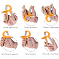 Miniatyrbild 4 av 6: 5-60 kg greppstyrketränare – Justerbar handgreppsstyrketränare med rostfritt stålfjäder för starka handleder, fingrar, underarm, händer Orange