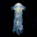 Pikkukuva 5 / 5: 4 kpl Meduusa-muotoinen lamppu Luova Meduusa Kruunu LED Fantasia Meduusa Lamppu Loistava Meduusa Riippuva Muoti Lamppu Huoneen Sisustus Teema Ravintola