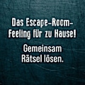 Pikkukuva 2 / 4: EXIT-PELI - Uponnut aarre -FQ2-