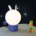 Miniatyrbild 1 av 4: 2-pack Popsicle Katt Leklera Leksak Klämset Kawaii Långsam Resning